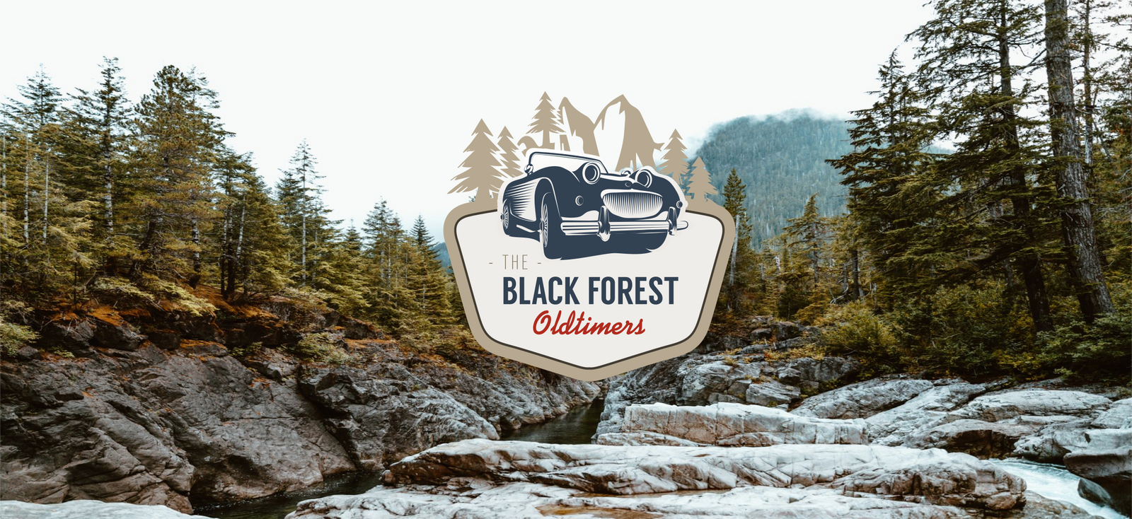 Black Forest Oldtimers | gebrauchte Oldtimer Teile für Ihren Austin Healey, Triumph und MG 